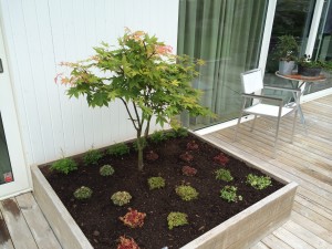 plantering